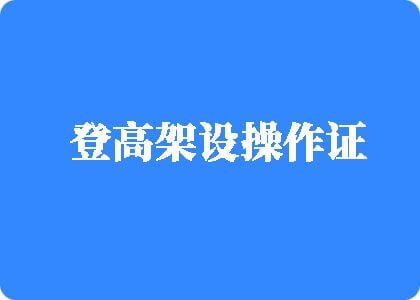 大鸡巴操骚逼视频毛片登高架设操作证