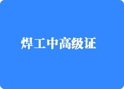 大长鸡巴干大肥B的视频在线播放焊工中高级证